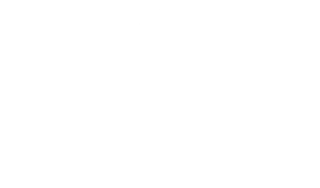 ACE Total Logistics